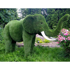 Топиар фигура "Слон африканский с бивнями Хобот вверх"